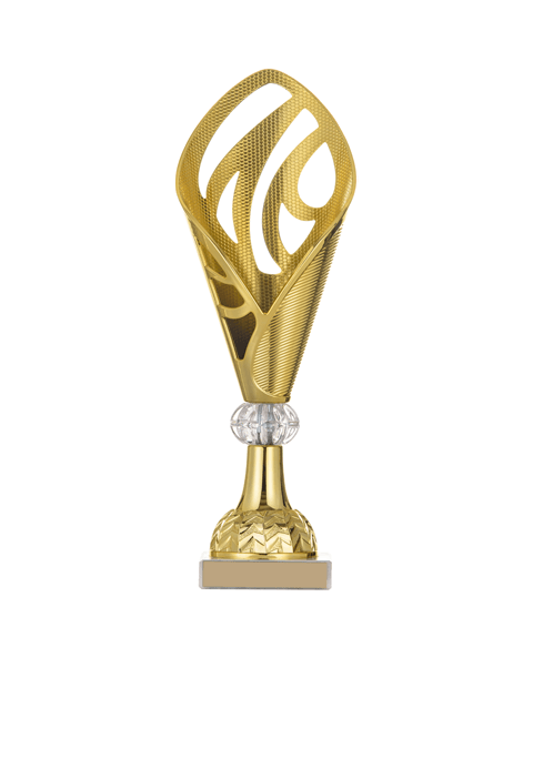 https://test.surreyjaguars.com/wp-content/uploads/2022/11/trophy_03.png