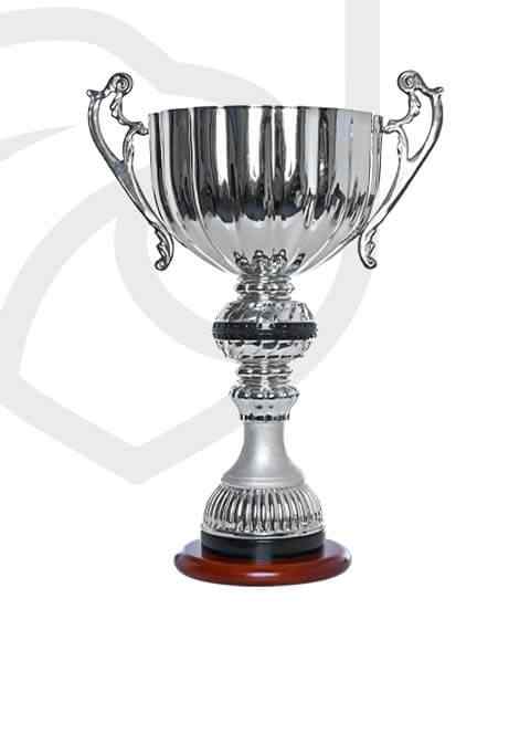 https://test.surreyjaguars.com/wp-content/uploads/2022/11/trophy_overlay_01.jpg